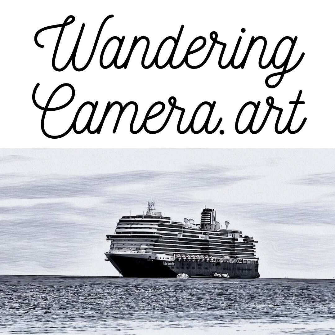 Wandering Camera